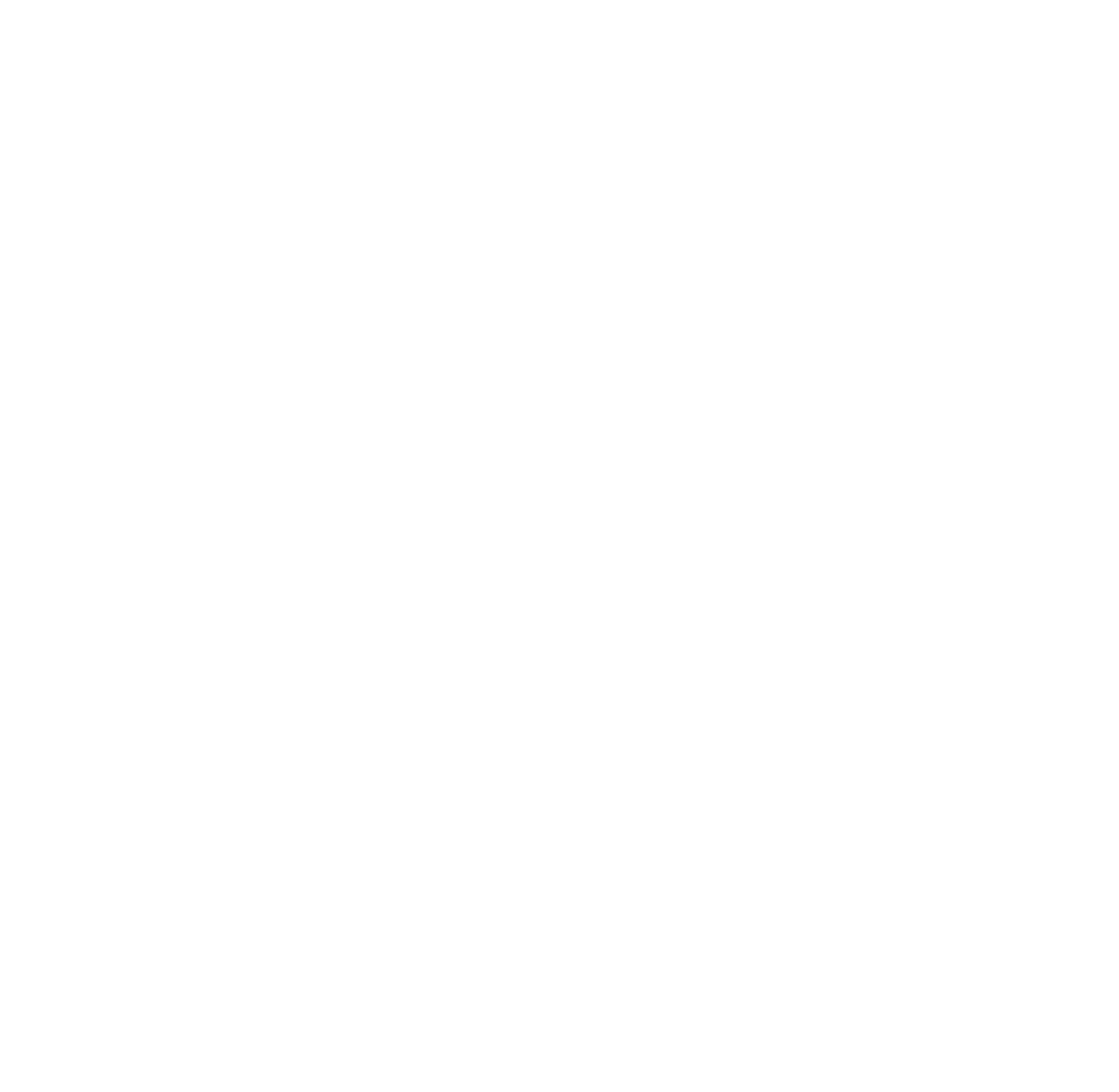 logo papillon blanc